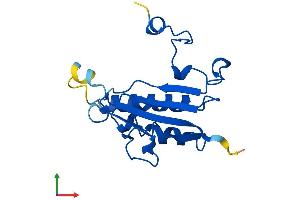 AlphaFold protein structure predicition of Human Recombinant NSUN5P1 Protein, UniprotID Q3KNT7