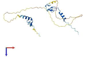ZFAND5 Protein (AA 1-213) (His tag)