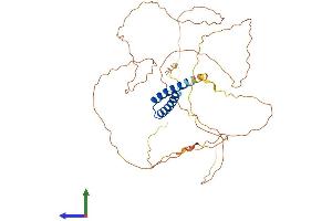 Protein Structure (PS) image for Synovial Sarcoma Translocation Gene On Chromosome 18-Like 1 (SS18L1) (AA 1-396) protein (His tag) (ABIN7553549)