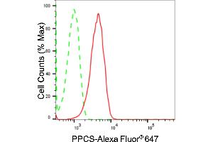 Flow cytometric analysis of PPCS expression in HepG2 cells using PPCS antibody (ABIN7799830), 1:2,000). (Rekombinanter PPCS Antikörper)