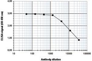 ELISA is a quantitative method used to determine the titer of the antibody using a serial dilution of antibody against Histone H4 (K5,8,12ac) in antigen coated wells.