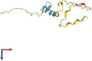 LELP1 Protein (AA 1-98) (His tag)