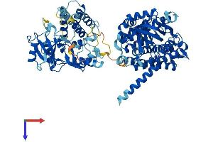 ACAD11 Protein (AA 1-779) (His tag)