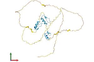 AlphaFold protein structure predicition of Human Recombinant ZNF414 Protein, UniprotID Q96IQ9
