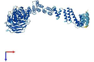 VPS16 Protein (AA 1-839) (His tag)