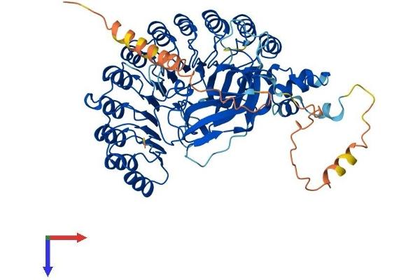 FBXL4 Protein (AA 1-621) (His tag)