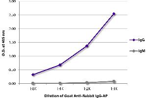 ELISA plate was coated with purified rabbit IgG and IgM. (Ziege anti-Kaninchen IgG (Heavy Chain) Antikörper (Alkaline Phosphatase (AP)))