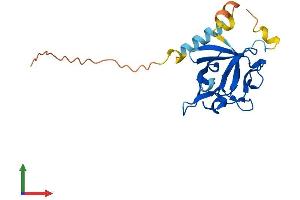 Protein Structure (PS) image for Fibroblast Growth Factor 16 (FGF16) (AA 1-207) protein (His tag) (ABIN7561473)