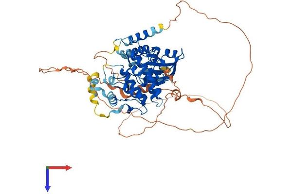 MAPK15 Protein (AA 1-549) (His tag)
