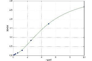 Ryanodine Receptor 1 (Skeletal) (RYR1) ELISA Kit