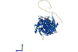 Protein Structure (PS) image for Hexokinase 1 (HK1) (AA 1-974) protein (His tag) (ABIN7562918)