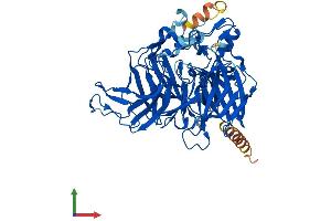 AlphaFold protein structure predicition of Human Recombinant BCO1 Protein, UniprotID Q9HAY6