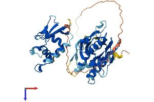 IRF3 Protein (AA 1-419) (His tag)