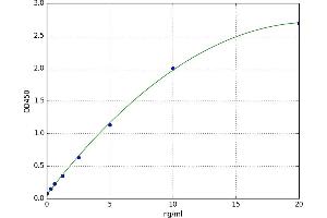 PHD Finger Protein 1 (PHF1) ELISA Kit