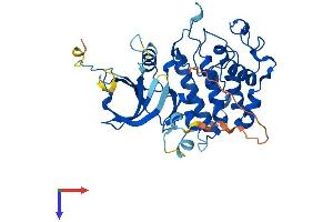 CDK9 Protein (AA 1-372) (His tag)