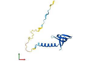 AlphaFold protein structure predicition of Mouse Recombinant Gemin7 Protein, UniprotID Q9CWY4