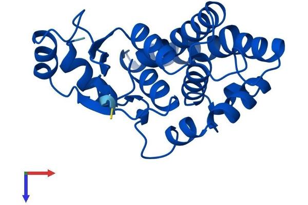 GSTA4 Protein (AA 1-222) (His tag)