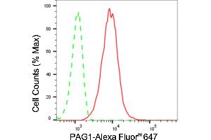Flow cytometric analysis of PAG1 expression in HT- cells using PAG1 antibody (ABIN7799831), 1:2,000). (Rekombinanter PAG1 Antikörper)