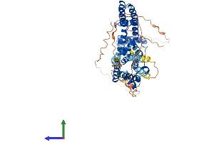 Protein Structure (PS) image for Potassium Voltage-Gated Channel, Shaker-Related Subfamily, Member 6 (KCNA6) (AA 1-529) protein (His tag) (ABIN7554295)