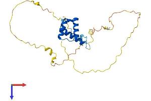NKX2-8 Protein (AA 1-239) (His tag)