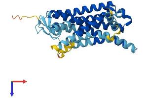 OR1F1 Protein (AA 1-312) (His tag)