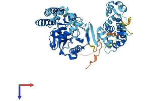 LPCAT4 Protein (AA 1-524) (His tag)