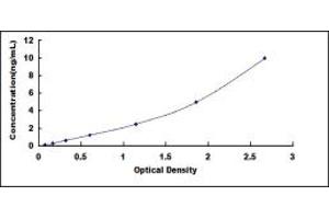 Platelet-Derived Growth Factor Receptor-Like (PDGFRL) ELISA Kit