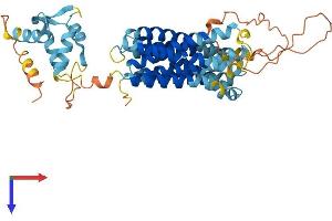 SLC39A8 Protein (AA 1-462) (His tag)