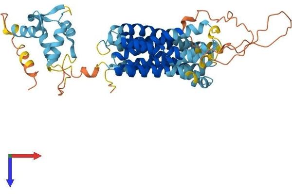 SLC39A8 Protein (AA 1-462) (His tag)