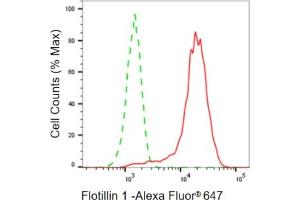 Flow cytometric analysis of Flotillin 1 expression in HepG2 cells using Flotillin 1 antibody (ABIN7798633), 1:2,000). (Rekombinanter Flotillin 1 Antikörper)