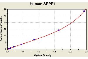 Selenoprotein P1, Plasma (SEPP1) ELISA Kit