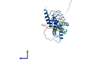 Protein Structure (PS) image for Acyl-CoA Binding Domain Containing 6 (ACBD6) (AA 1-282) protein (His tag) (ABIN7560815)