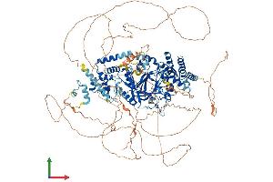 Protein Structure (PS) image for Jumonji, AT Rich Interactive Domain 2 (JARID2) (AA 1-1246) protein (His tag) (ABIN7554206)