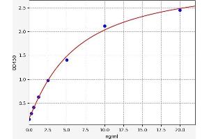 Typical standard curve (SDC4 ELISA Kit)