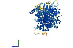 Protein Structure (PS) image for Protein tyrosine Phosphatase, Non-Receptor Type 9 (PTPN9) (AA 1-593) protein (His tag) (ABIN7562289)