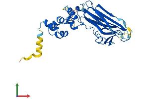 Protein Structure (PS) image for F-Box Protein 17 (FBXO17) (AA 1-286) protein (His tag) (ABIN7561833)