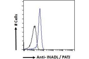 ABIN185139 Flow cytometric analysis of paraformaldehyde fixed A431 cells (blue line), permeabilized with 0. (PATJ Antikörper  (N-Term))