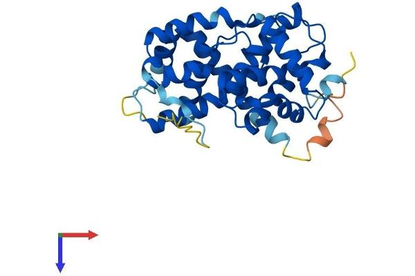 Cyclin D1 Protein (CCND1) (AA 1-295) (His tag)