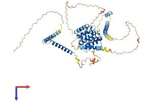 CCDC60 Protein (AA 1-550) (His tag)