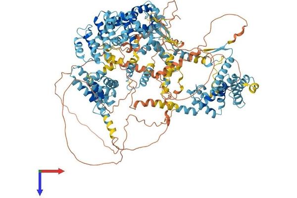RGS22 Protein (AA 1-1258) (His tag)