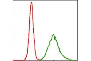 Flow cytometric analysis of MCF-7 cells using KCNQ1 mouse mAb (green) and negative control (red). (KCNQ1 Antikörper)