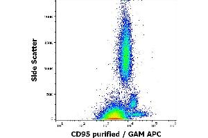 Flow cytometry surface staining pattern of human peripheral whole blood stained using anti-human CD95 (LT95) purified antibody (concentration in sample 2 μg/mL) GAM APC. (FAS Antikörper)