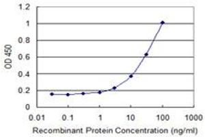 Detection limit for recombinant GST tagged DCK is 1 ng/ml as a capture antibody. (DCK Antikörper  (AA 161-260))