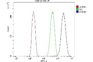 Flow Cytometry analysis of A431 cells using anti-non-muscle Myosin IIB/MYH10 antibody (ABIN7603186). (MYH10 Antikörper  (N-Term))