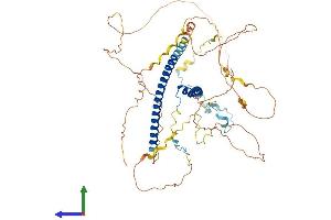 Protein Structure (PS) image for Male-Specific Lethal 1 Homolog (MSL1) (AA 1-614) protein (His tag) (ABIN7554628)