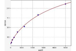 Typical standard curve (PLEKHO2 ELISA Kit)