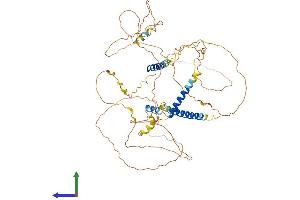 Protein Structure (PS) image for SLAIN Motif Family, Member 2 (SLAIN2) (AA 1-581) protein (His tag) (ABIN7546129)