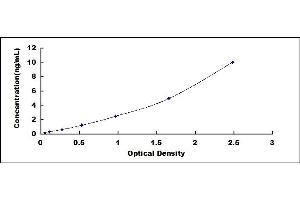 Typical standard curve (TIMP1 ELISA Kit)