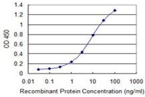 Detection limit for recombinant GST tagged NFKBIB is 0. (NFKBIB Antikörper  (AA 1-356))
