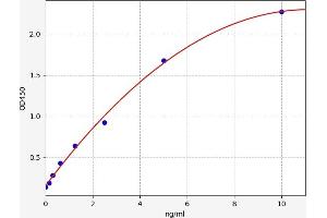 Cystatin C (CST3) ELISA Kit